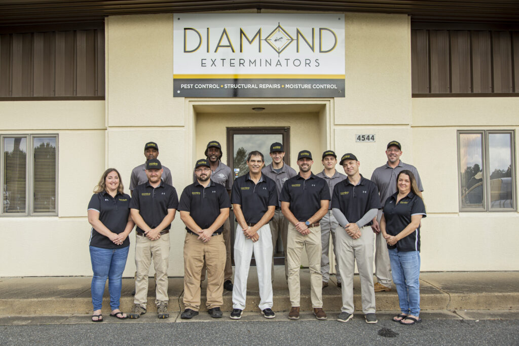 Diamond-Exterminators-Chesapeake-VA Contact Green Stick Marketing to help your business succeed online.