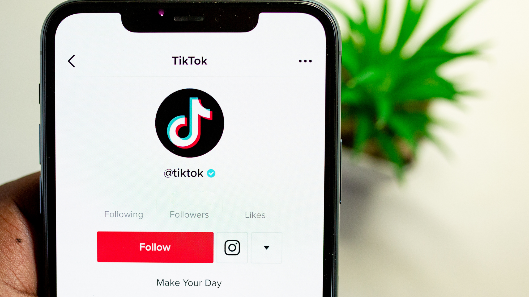tiktok blog banner